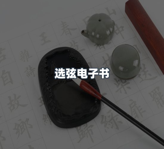 关于选弦电子书